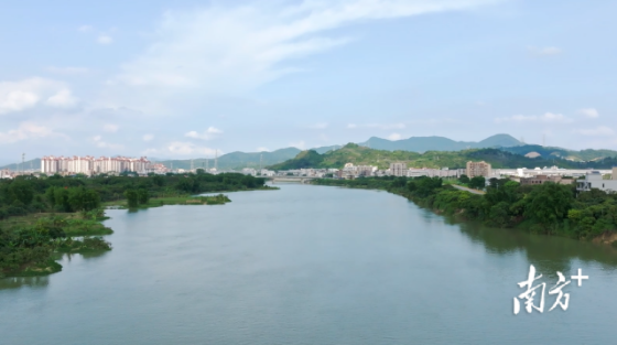 广州“母亲河”流溪河水质持续向好。
