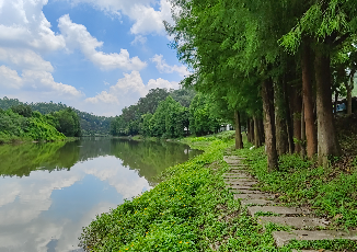 龙湾涌碧道