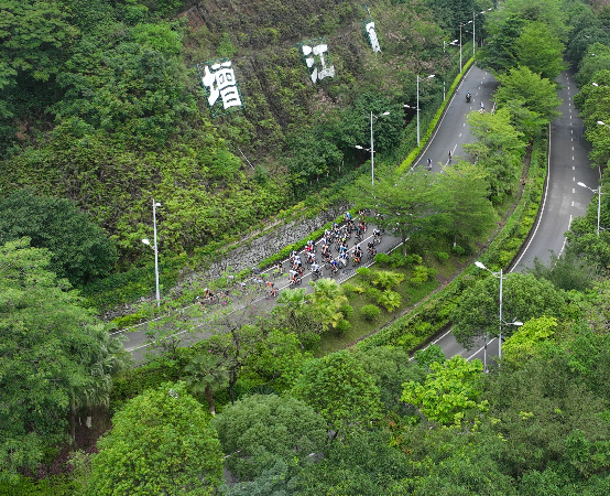 绿道骑行
