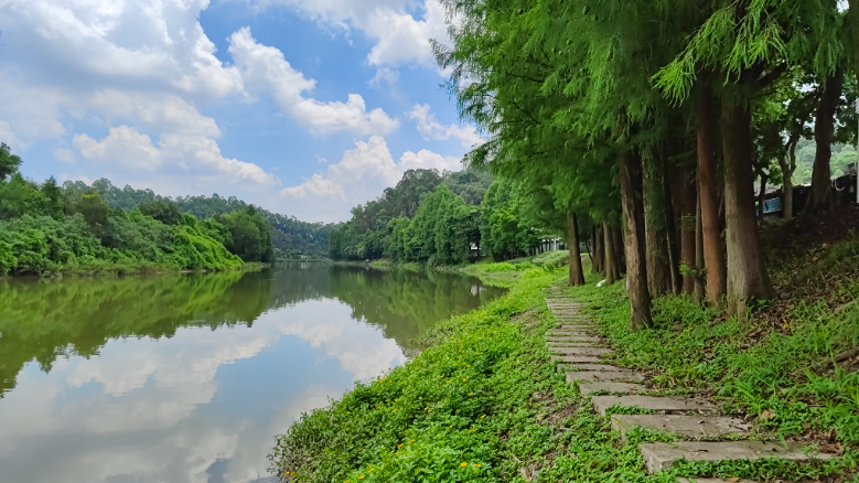 2023年7月，番禺区龙湾涌  “龙湾涌碧道”。吴凯明摄.jpg