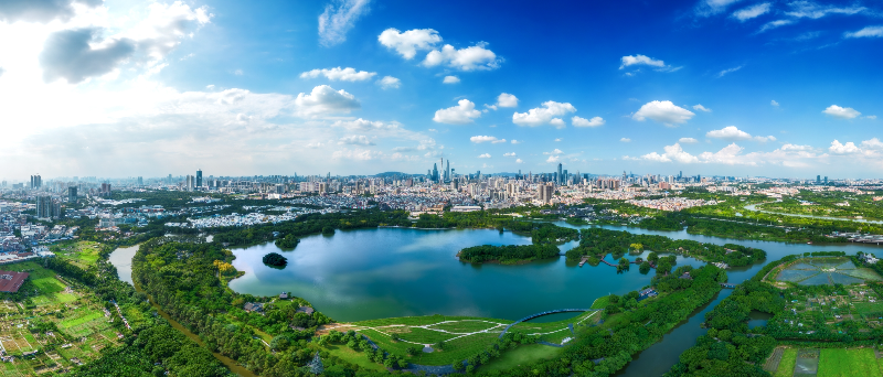 《盛夏羊城》广州市海珠湖(2023年9月17日吕政泉摄).jpg