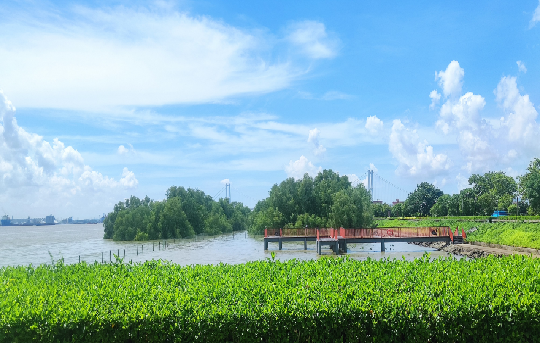 莲花湾水道碧道