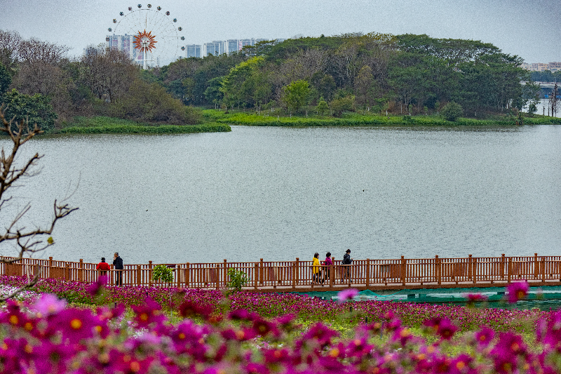 4-白云湖公园.JPG