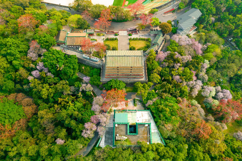 越秀公园.png