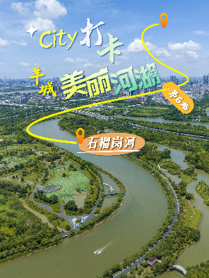 美丽河湖-石榴岗河