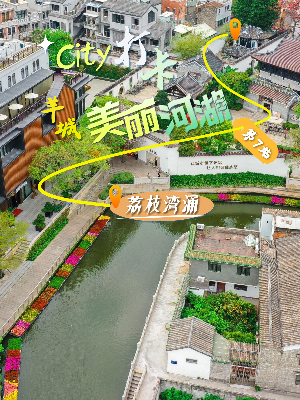 美丽河湖-荔枝湾涌