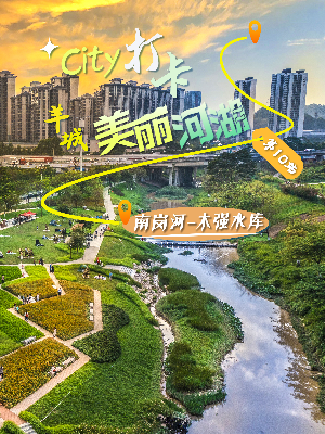 美丽河湖-南岗河-木强水库