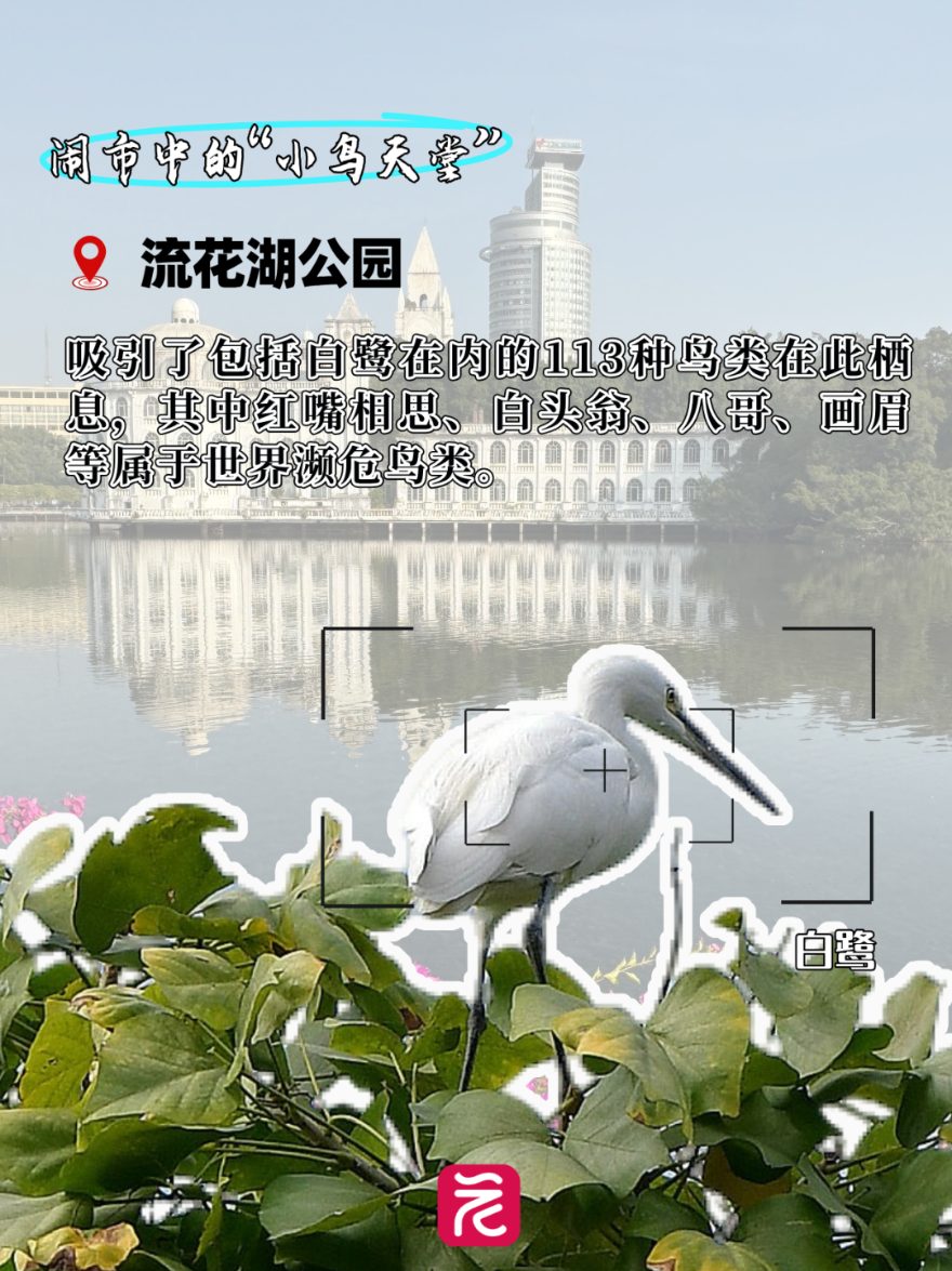 bc785e5bb43564db958ba4722216f45.png