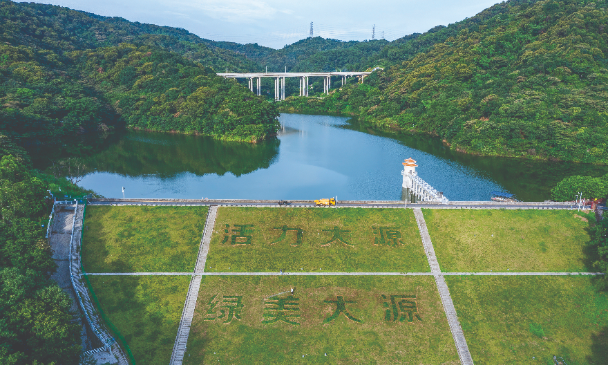 绿美大源