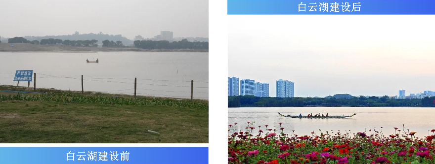 白云湖突出问题.jpg