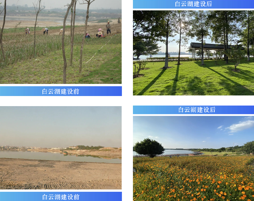 治理成效.jpg