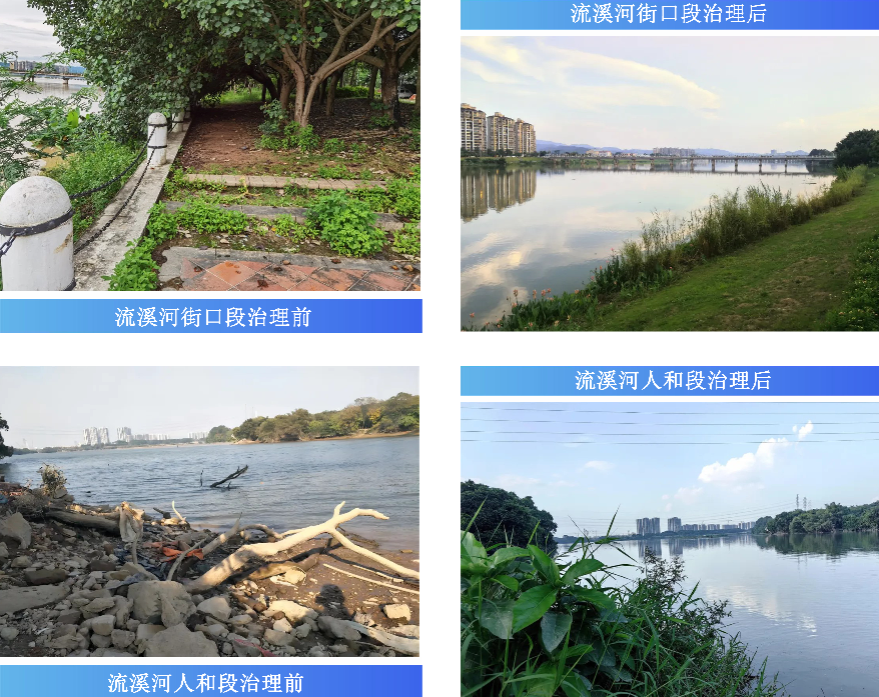 流溪河治理成效.jpg