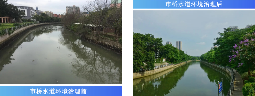 市桥水道突出问题.jpg