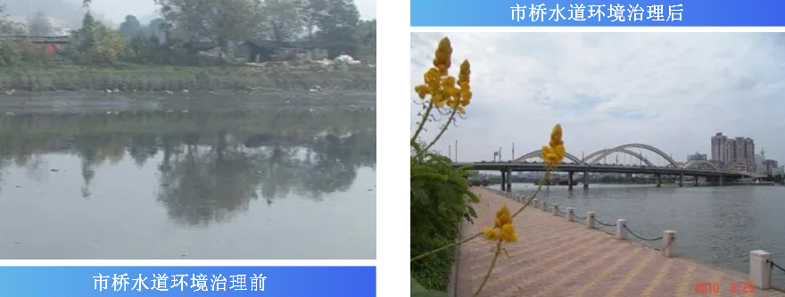 市桥水道主要做法.jpg